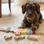 Buchstabenpuzzle Hund